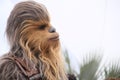 Chewbacca attends the photocall Royalty Free Stock Photo