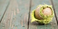 Chewed old used dirty tennis ball, web banner