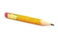 Chewed Pencil_1