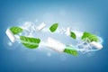 Chewing Gum Aromatic Creative Promo Banner Vector. Chewing Gum Pieces, Mint Green Leaves And Ice Cubes On Advertising Poster. Royalty Free Stock Photo