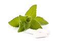 Chewing gum and fresh mint Royalty Free Stock Photo