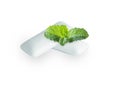 Chewing gum with fresh mint leaves isolated on white Royalty Free Stock Photo