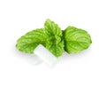 Chewing gum with fresh mint leaves isolated on white background Royalty Free Stock Photo