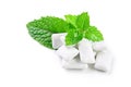 Chewing gum and mint Royalty Free Stock Photo