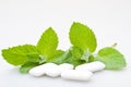 Chewing gum and mint