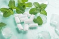 Chewing gum with mint and ice Royalty Free Stock Photo