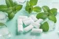 Chewing gum with mint and ice Royalty Free Stock Photo