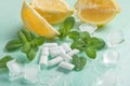 Chewing gum with mint and ice and lemon Royalty Free Stock Photo