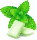 Chewing gum with fresh mint leaves