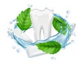 Chewing gum. Vector fresh menthol leaves, white gum, tooth realistic