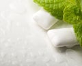Chewing gums with fresh green mint Royalty Free Stock Photo