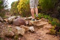 Chewing up the trail. a mans legs as he hikes up a rocky trail. Royalty Free Stock Photo