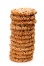 Chewy Ginger Cookie Royalty Free Stock Photo