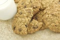 Chewy Oatmeal Raisin Cookies with Milk Royalty Free Stock Photo