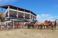 Cheyenne Frontier Days