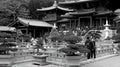 Chi lin nunnery in hong kong