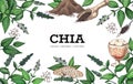 Chia framing. Restaurant and cafe superfood background with grains food. Natural products. Plants sketch. Flowers and