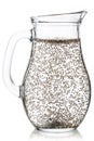 Chia fresca water jug, paths