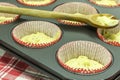 Chia-Muffins-Dough-7