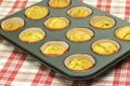 Chia-Muffins-1