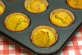 Chia-Muffins-11