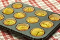 Chia-Muffins-2