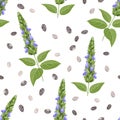 Chia plant and seeds pattern on white background.