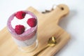 Chia pudding with almond milk, yogurt, pitaya powder and raspberries. Vegan concept