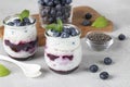 Chia pudding with blueberry and jam in two glass jars on light gray background, Healthy vegan breakfast Royalty Free Stock Photo