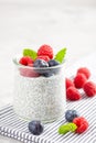 Chia pudding with fresh berries and almond milk. Superfood concept. Vegan, vegetarian and healthy eating diet Royalty Free Stock Photo