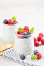 Chia pudding with fresh berries and almond milk. Superfood concept. Vegan, vegetarian and healthy eating diet