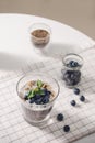 Chia pudding with fresh berries and almond milk. Superfood concept. Vegan, vegetarian and healthy eating diet with organic Royalty Free Stock Photo