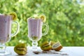 Chia pudding in the glass decorated with sliced fresh kiwi fruit and two vintage spoons. Detox superfoods dessert Royalty Free Stock Photo