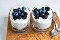 Chia pudding with greek yogurt and berries in jar Royalty Free Stock Photo