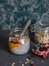 Chia pudding with mango puree, granola and pomegranate - a healthy breakfast Royalty Free Stock Photo