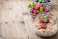 Chia pudding with muesli, raspberries, blueberries Royalty Free Stock Photo