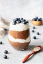 Chia pudding parfait with blueberries and yogurt Royalty Free Stock Photo