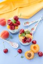 Chia Pudding with yogurt and fruits Royalty Free Stock Photo
