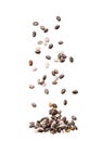 Chia seed isolated Royalty Free Stock Photo