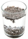 Chia Seed Royalty Free Stock Photo