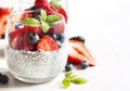 Chia seed pudding with berries Royalty Free Stock Photo