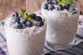 Chia seed pudding and blueberry macro. Horizontal Royalty Free Stock Photo