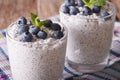 Chia seed pudding and blueberry macro. Horizontal