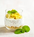 Chia seed pudding with caramelized apple and crushed grain cookies Royalty Free Stock Photo