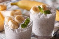 Chia seed pudding with fresh banana and a glass of macro Royalty Free Stock Photo