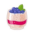 Chia seed pudding Royalty Free Stock Photo