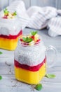 Chia seed pudding in jar with mango. Healthy breakfast. Royalty Free Stock Photo