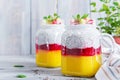 Chia seed pudding in jar with mango. Healthy breakfast. Royalty Free Stock Photo