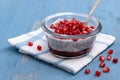 Chia seed pudding with raspberry jam and pomegranate seeds in a glass bowl close up Royalty Free Stock Photo
