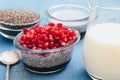 Chia seed pudding with raspberry jam and pomegranate seeds. Royalty Free Stock Photo